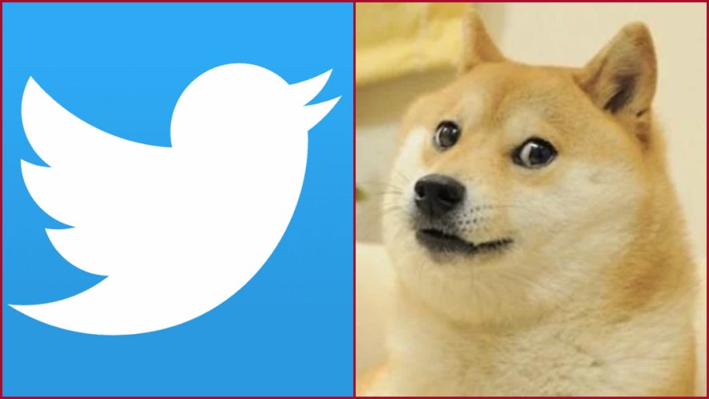 Twitter changes its logo, the price of the DOGECOIN has soared!